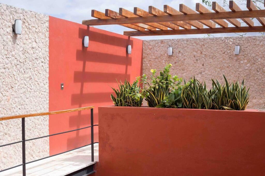 Casona Xtabay, En El Centro De Valladolid Villa Валядолид Екстериор снимка